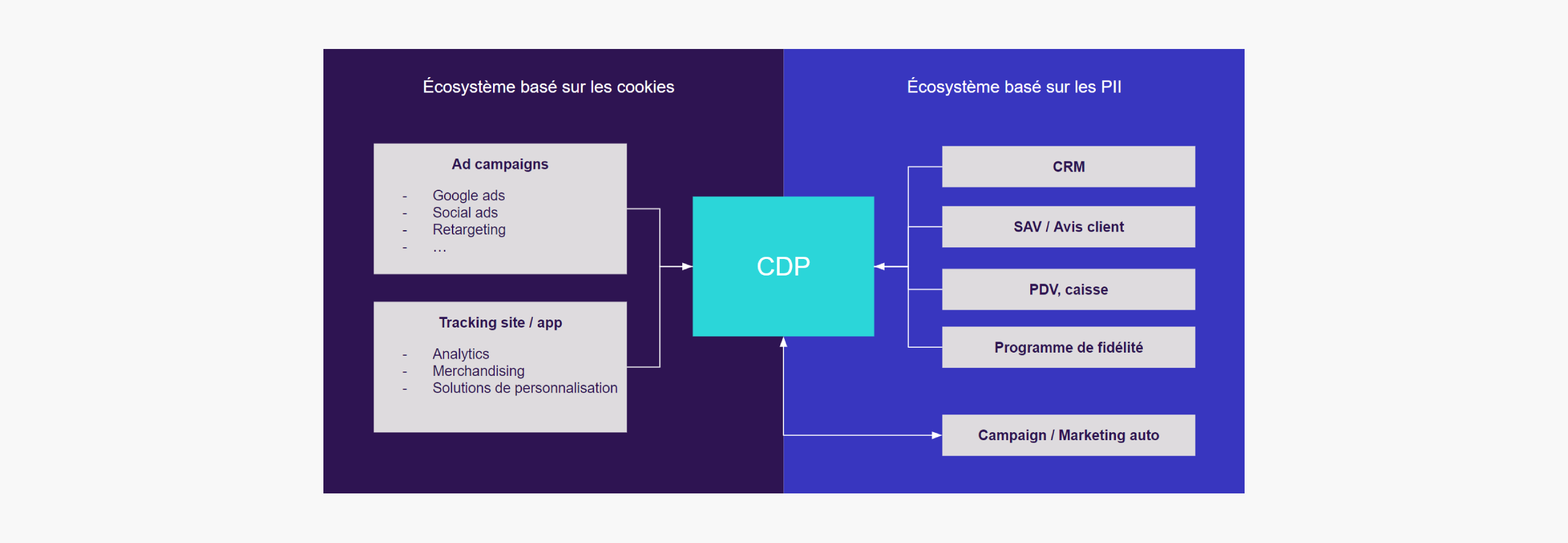 CDP-cookies-PII