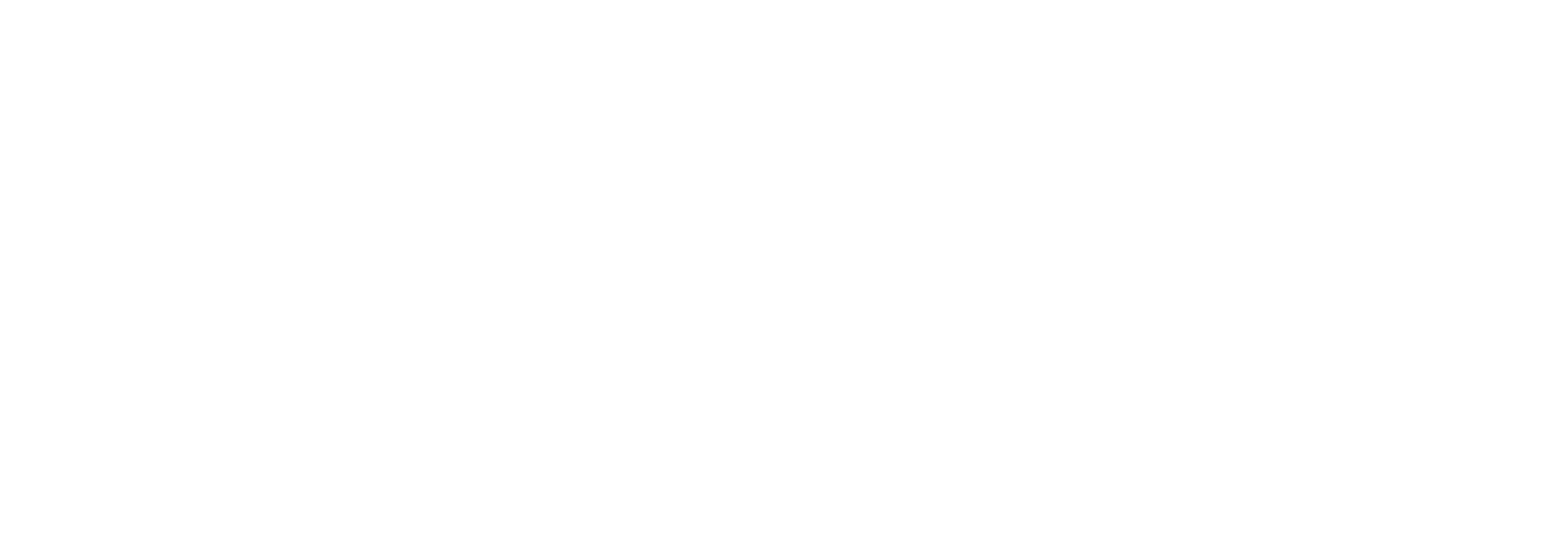 Shopping_BOOSTER-logo