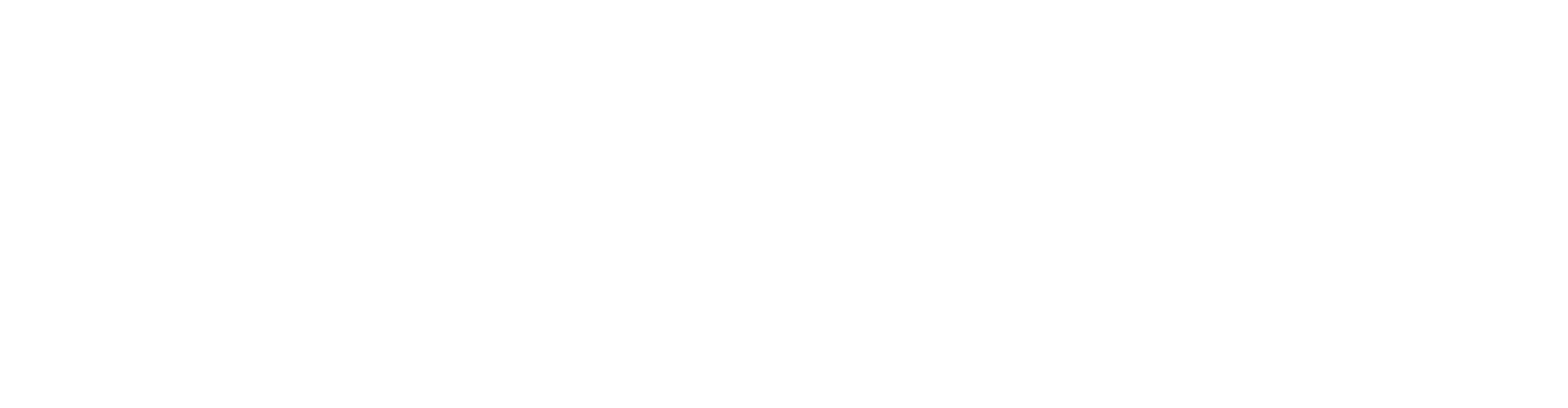 logo_BNPP_white (1)