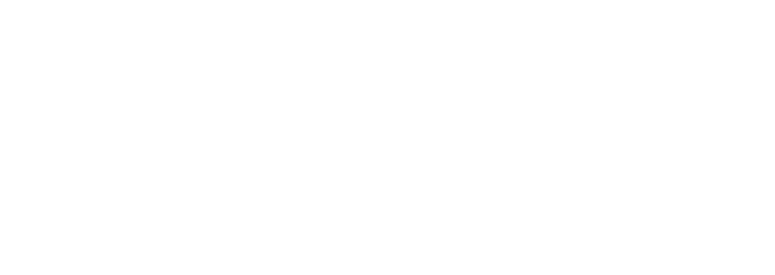 logo_Optic_2000_white (1)