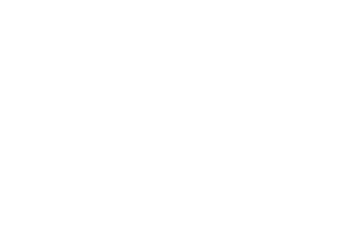 logo_chandon_white