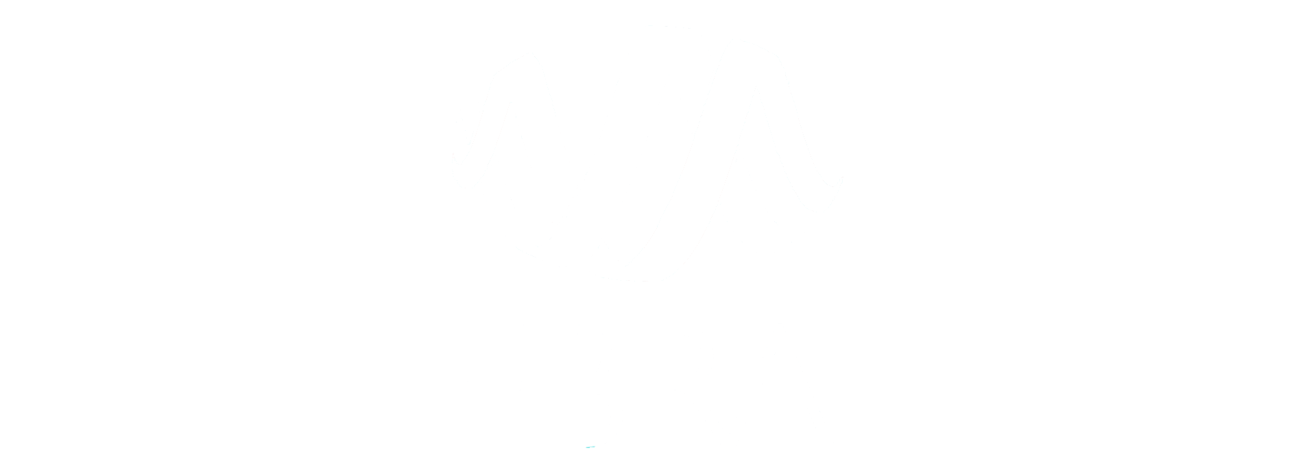 logo_ebra_white