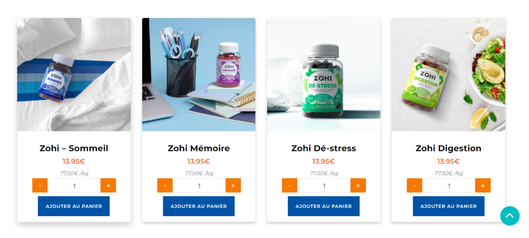 Aperçu du catalogue de produits ZOHI sur le site e-commerce